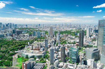 Wall Mural - 東京風景