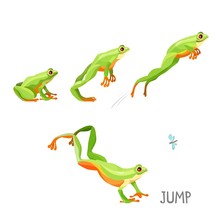 Frog Cartoon Clipart Free Stock Photo - Public Domain Pictures