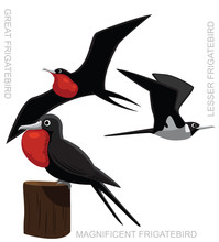 Bird Frigatebird Set Cartoon Vector Illustration