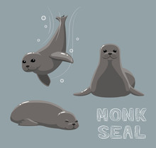 Monk Seal Cartoon Vector Illustration