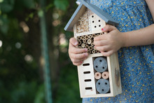 Green Schooling. Girl Holding Insect Hotel