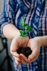 Canvas Print - Young girl holding plant in hands - life and nature concept.