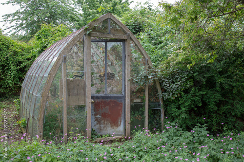 Cuadros en Lienzo Old disused decaying greenhouse