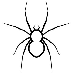 Wall Mural - Spider vector icon.