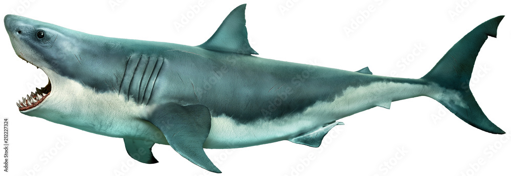 Great white shark side view 3D illustration - obrazy, fototapety, plakaty 