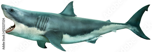 Photo Great white shark side view 3D illustration