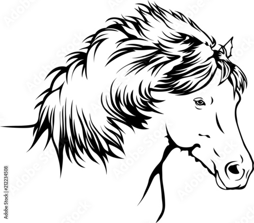 Islandpferd - Isländer Stock-Vektorgrafik | Adobe Stock