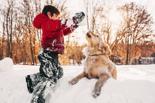 Boy Playing In Snow With His Golden Retriever Dog