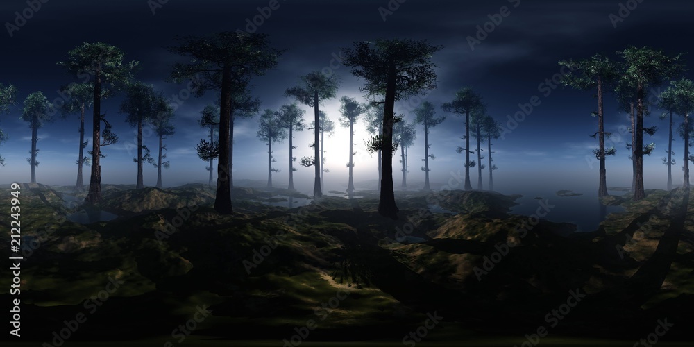 Trees in the fog. Environment map. HDRI map. equidistant projection ...