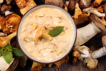 mushroom soup and variety of raw mushrooms on wooden table. oyster