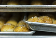 Trays Of Freshly Baked Buns