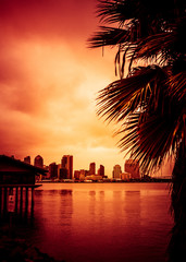 Wall Mural - Beautiful sunset over San Diego skyline with bay and palm trees