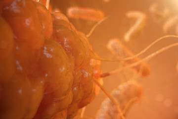 Wall Mural - 3d illustration viruses, bacteria, cell infected organism, decreased immunity. virus abstract backgr