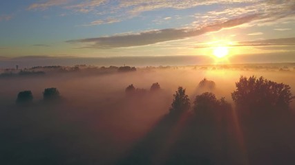 Wall Mural - beautiful aerial shot of thick layer of fog on fields during sunrise with expanse and endless skylin