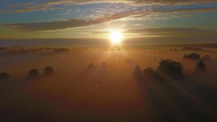 Wall Mural - beautiful aerial shot of thick layer of fog on fields during sunrise with expanse and endless skylin