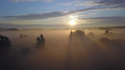 Wall Mural - beautiful aerial shot of thick layer of fog on fields during sunrise with expanse and endless skylin