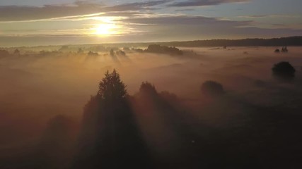 Wall Mural - beautiful aerial shot of thick layer of fog on fields during sunrise with expanse and endless skylin