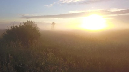 Wall Mural - beautiful aerial shot of thick layer of fog on fields during sunrise with expanse and endless skylin