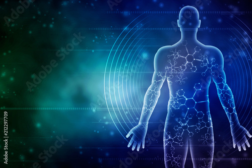 Fotografía 2d illustration Human Male Muscle Body