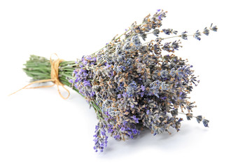 Beautiful blooming lavender flowers on white background