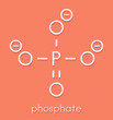 Phosphate anion, chemical structure. Skeletal formula.