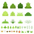 © Oqvector - Set of different forest bushes, grasses, leaves of trees, mushrooms and fruits. Vector illustration