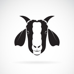 Vector of goat head design on white background. Wild Animals. Easy editable layered vector illustration.