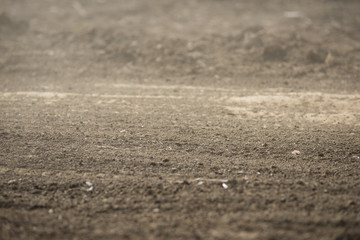 Wall Mural - dirt fly after motocross roaring by