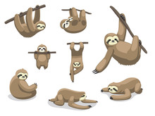 Sloth Poses Cartoon Vector Illustration