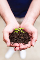 Hands of man holding a young plant. New life concept.