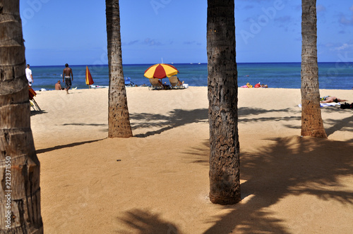 Walking In Hawaii ハワイの散歩 Stock 写真 Adobe Stock Walking In Hawaii ハワイの散歩 Stock 写真 Adobe Stock