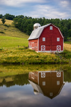 Red Barn Reflected In Pond