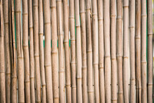 Bamboo Stick Fence