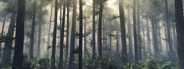 trees in the fog. the smoke in the forest in the morning. a misty morning among the trees. 3d render