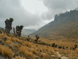 © martin - The scenic landscapes of Mount Kenya