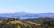 © Osaze - Green rolling hills of Marin County with view of San Francisco Bay