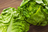 Fototapeta Kuchnia - lettuce on the wooden table
