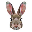 Low poly triangular rabbit face on white background, symmetrical vector illustration EPS 10 isolated.  Polygonal style trendy modern logo design. Suitable for printing on a t-shirt or sweatshirt.