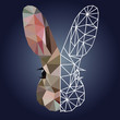 Low poly and wireframe rabbit face on dark background, symmetrical vector illustration EPS 10 isolated.  Polygonal style trendy modern logo design. Suitable for printing on a t-shirt or sweatshirt.