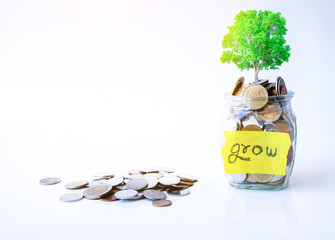 The coins and  plant in bottle on White  background. The plant is grown by the coins in the bottle . The concept of growth for the save money.