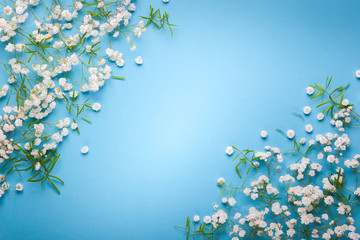 Wall Mural - White flowers composition on blue