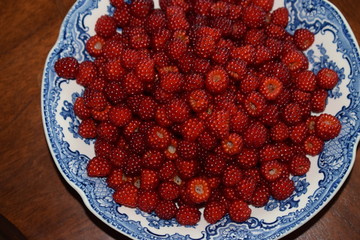 Poster - reife Japanische Weinbeeren in blauer Schaale