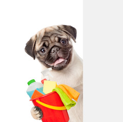 Poster - Cleaning concept. Puppy above white banner holds bucket with  washing fluids and rags in paws. isolated on white background