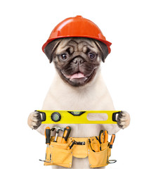Poster - Handyman dog worker in hard hat with tool belt and spirit level. Isolated on white background