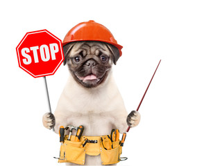Poster - Funny puppy in hard hat with tool belt and stop sign showing with pointing stick on empty space. Isolated on white background