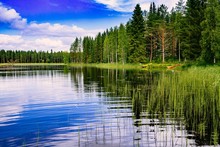 Blue Lake And Green Forest On A Sunny Summer Day In Finland