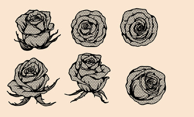 Wall Mural - Rose vector lace by hand drawing.Beautiful flower on brown background.Rose lace art highly detailed in line art style.Flower tattoo on vintage paper.