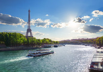 Wall Mural - river in paris
