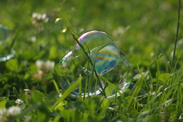 soap bubbles on the grass