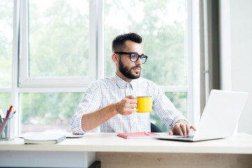 Wall Mural - Portrait of trendy bearded businessman working at desk in office using laptop and enjoying cup of coffee, copy space